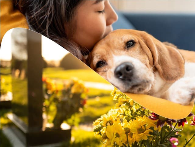 Z luxusných kúpeľov až