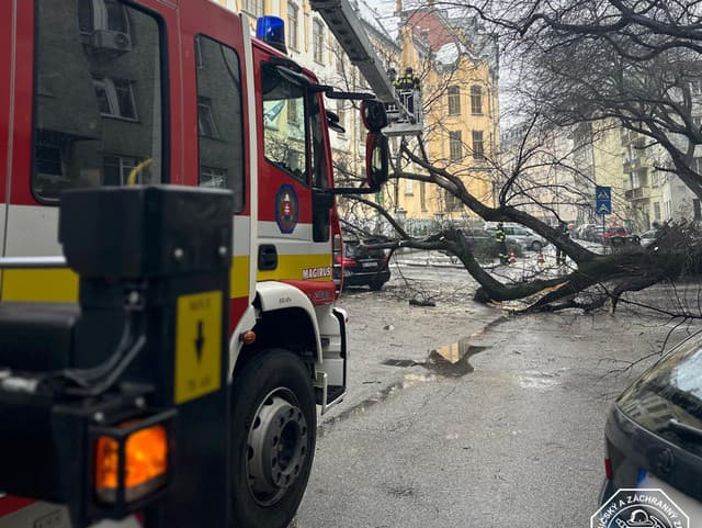 Ranný šok v centre