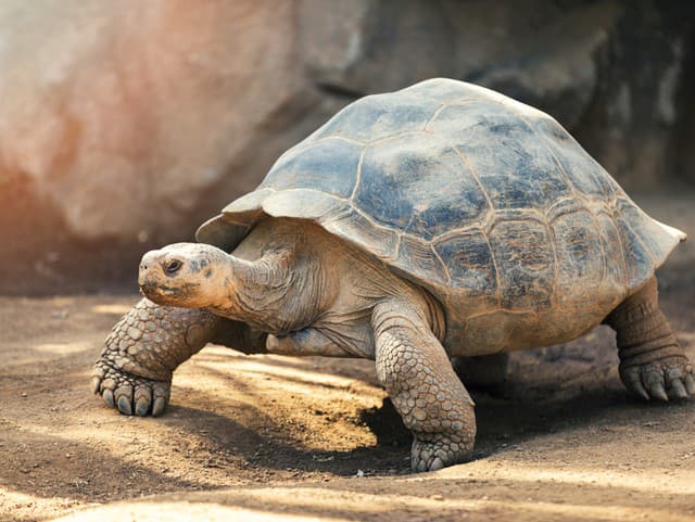 Pozrite sa, čo urobila