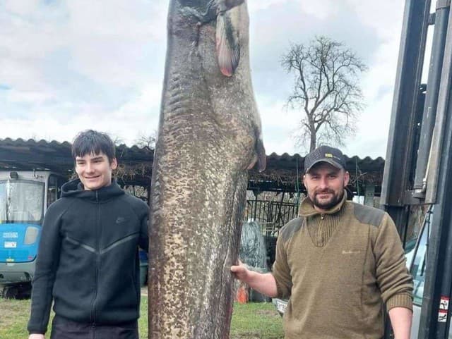 Obrovský úlovok v Bodamskom