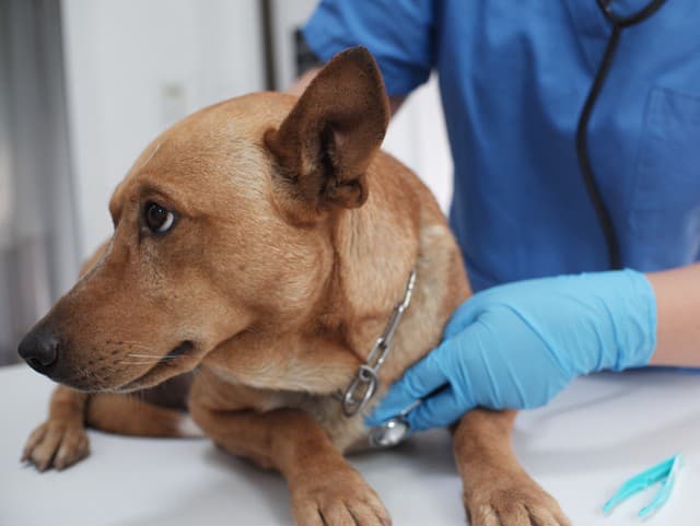 Operácie v suteréne rodinného