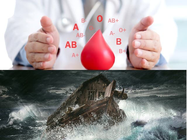 Kód Noe aktivovaný: Ak