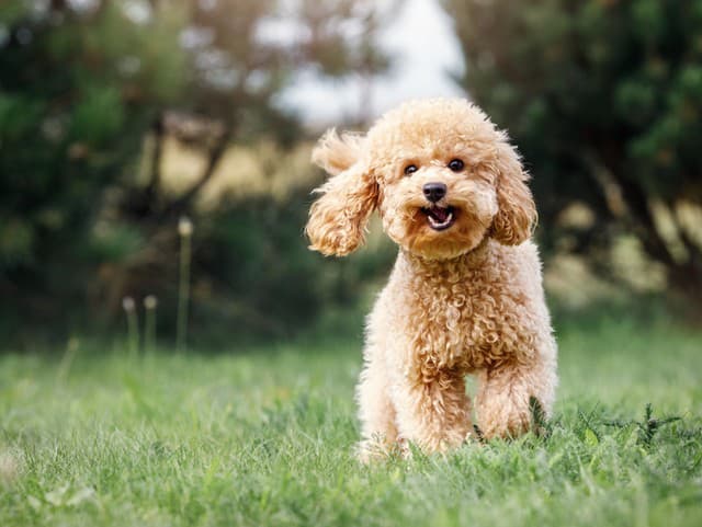 Keď ho uvidela, zostala