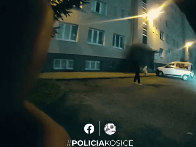 Rýchly zásah polície! VIDEO