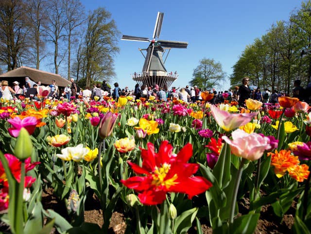 Jarná sezóna je tu: