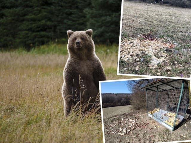 Časovaná bomba?! V rizikovej