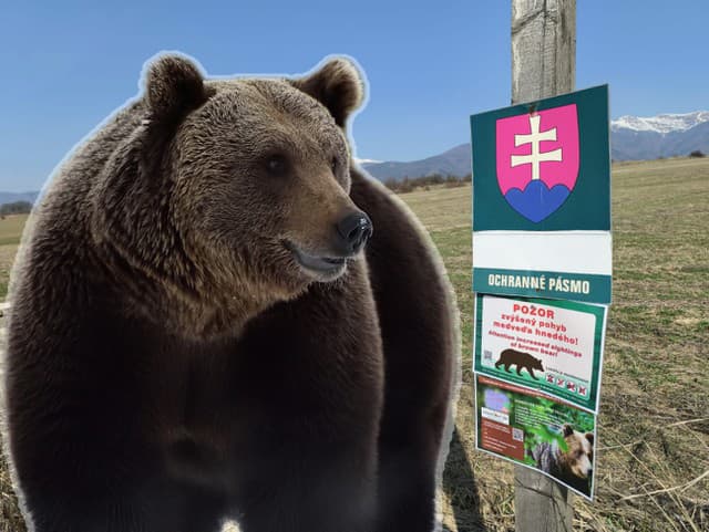 Nová MAPA výskytu medveďov