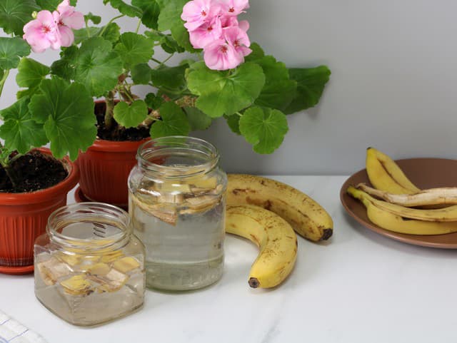 Nevyhadzujte BANÁNOVÉ šupky! Expertka