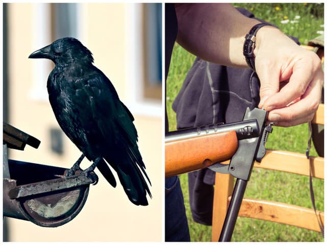 Nečakaná PAĽBA v Poprade: