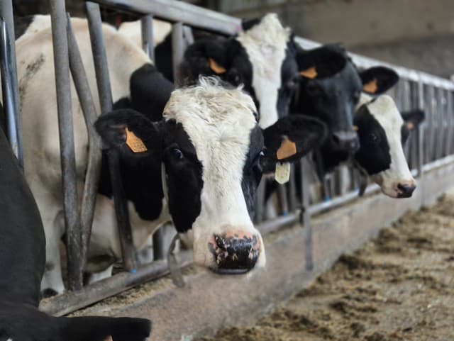 Obrovský škandál: Do Európy