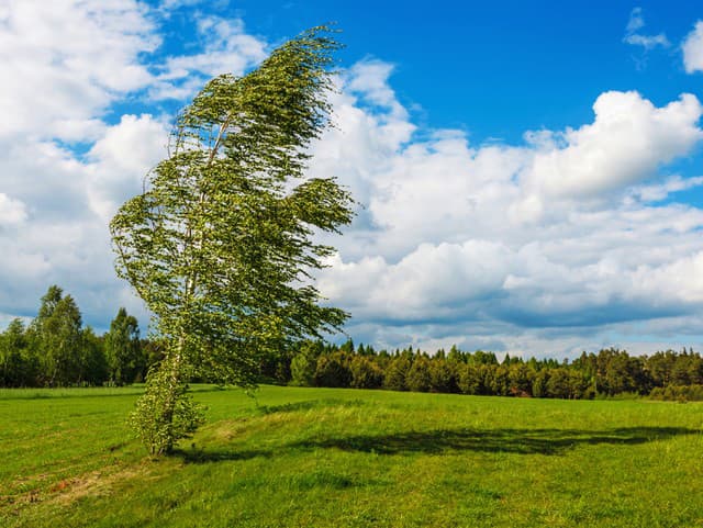 Na horách sa môže