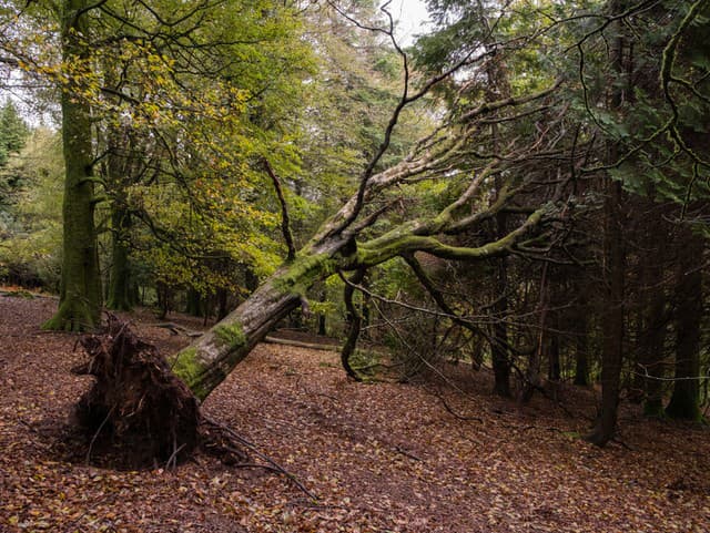 Na severe Slovenska hrozí
