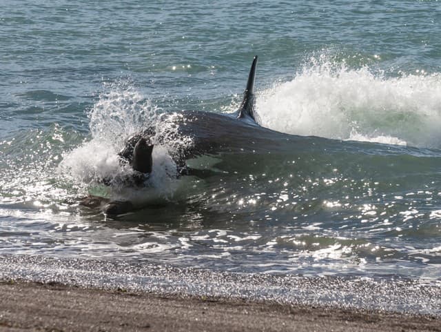 Zázrak na obzore? Uviaznutá