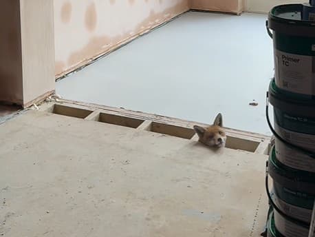 Rekonštrukcia snov sa zmenila