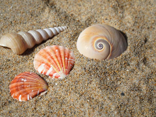 Sekundy od TRAGÉDIE v