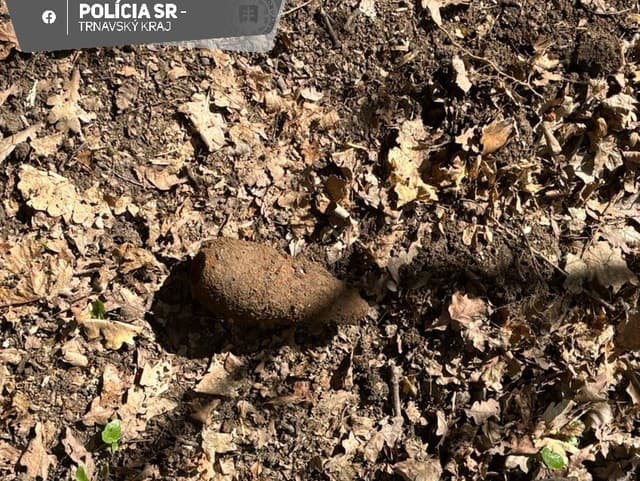 To asi nečakala! Žena