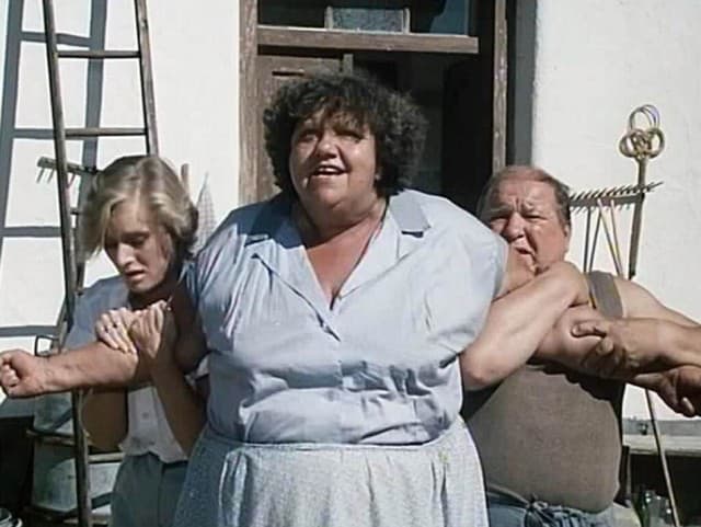 Furt králíka, každej den