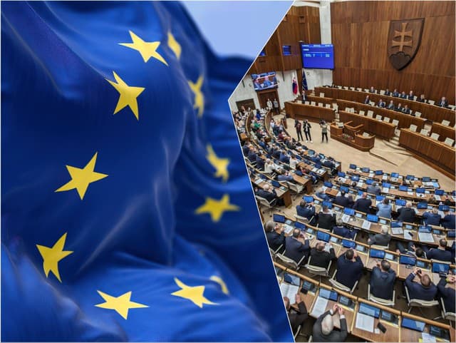 Slovensko ako sebavedomý člen