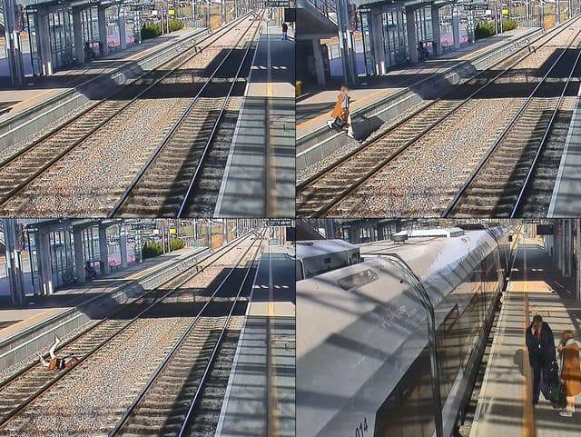 Autentické zábery, z ktorých