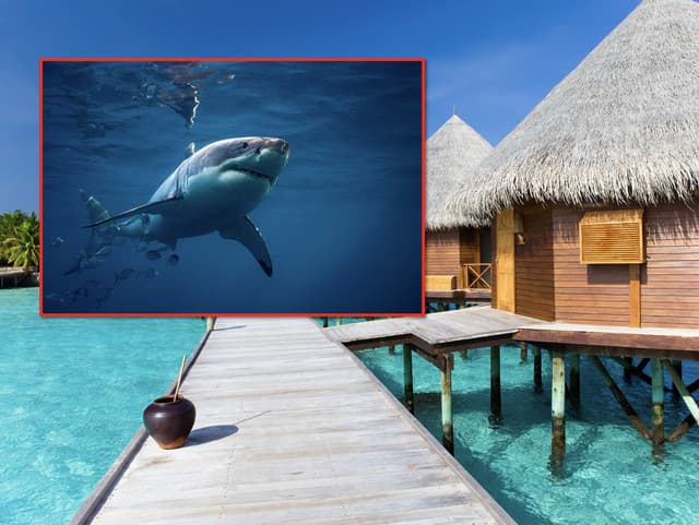 Horor v dovolenkovom raji: