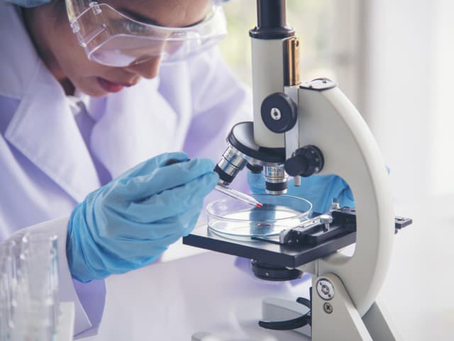 V krajine vyčíňa ZÁHADNÉ