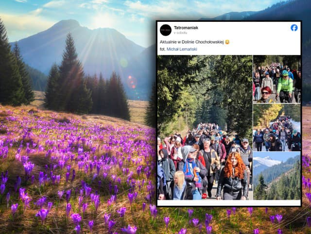 ŠIALENSTVO v Tatrách: Obľúbená