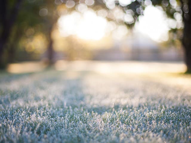 Ďalšia rana pre záhradkárov: