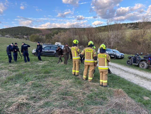 Dávid, medveď, Dávid! Brat