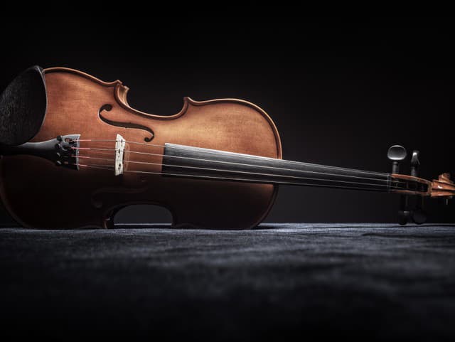 Vzácne hudobné nástroje v