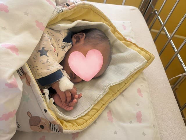 V hniezde záchrany v