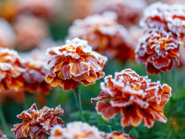 Mrazivé prekvapenie na konci