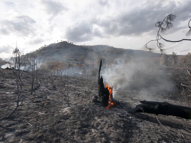 Nebezpečná situácia v desiatkach