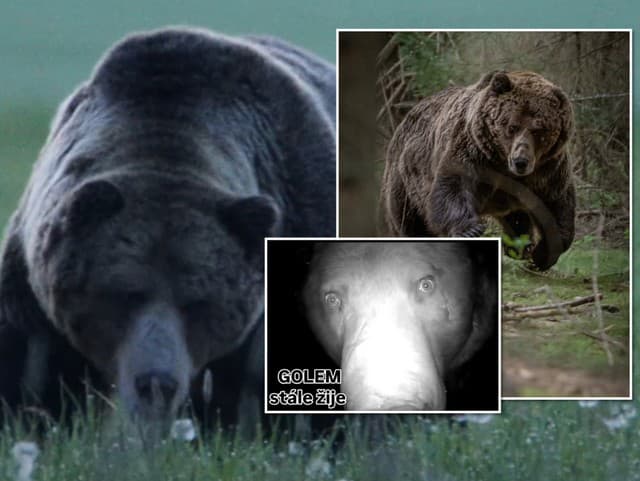 Legenda Západných Tatier stále