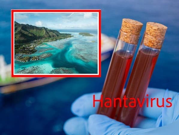 Hantavírus sa šíri aj