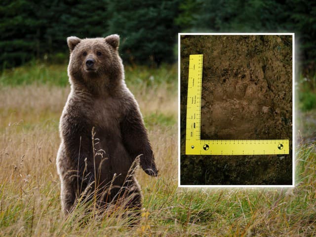 V Maďarsku varujú pred
