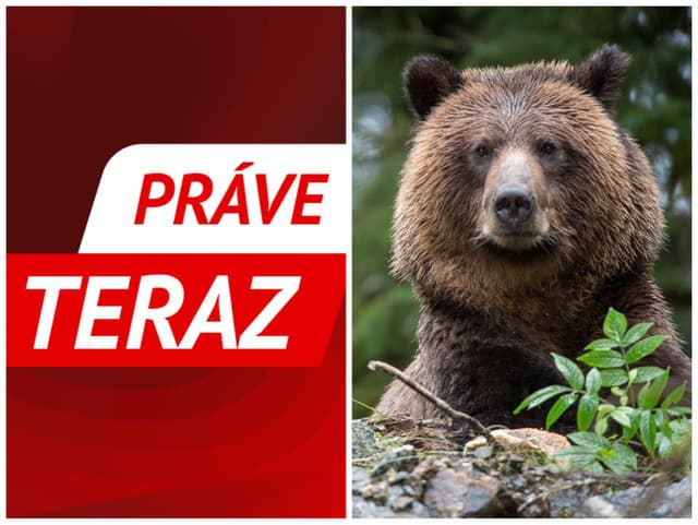 MIMORIADNA dráma na Liptove: