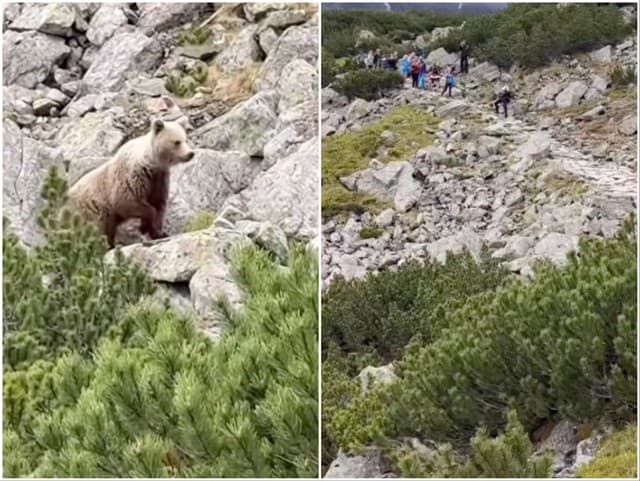 Mimoriadne VAROVANIE z Tatier: