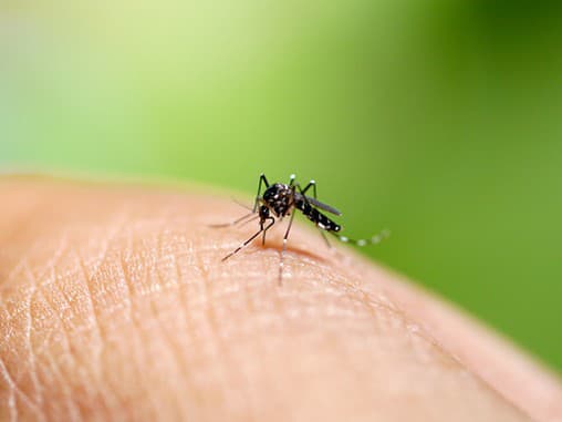 Šokujúca metóda vedcov: Milióny