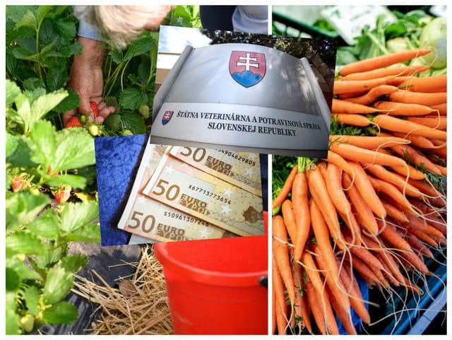 Predávate zeleninu a ovocie z vlastnej záhradky? O tomto POPLATKU pre štát ste možno ani netušili! Hrozí vám POKUTA