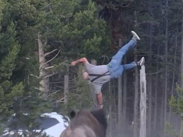 Desivý útok v Yellowstone: VIDEO Bizón vyhodil turistu do výšky! Utrpel vážne zranenia