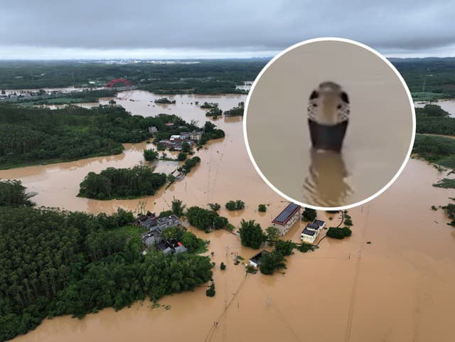 Hororové VIDEO zo zaplaveného