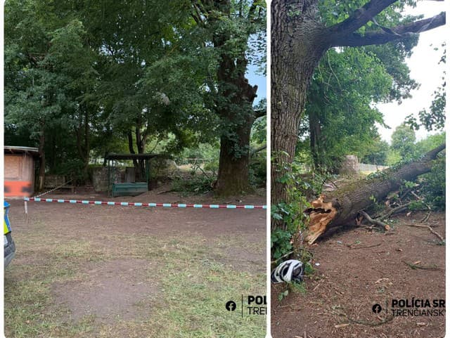 MIMORIADNE Tragédia pri Púchove počas búrky: Muž (†51) sa skryl pod strom, ZOMREL po páde konáru