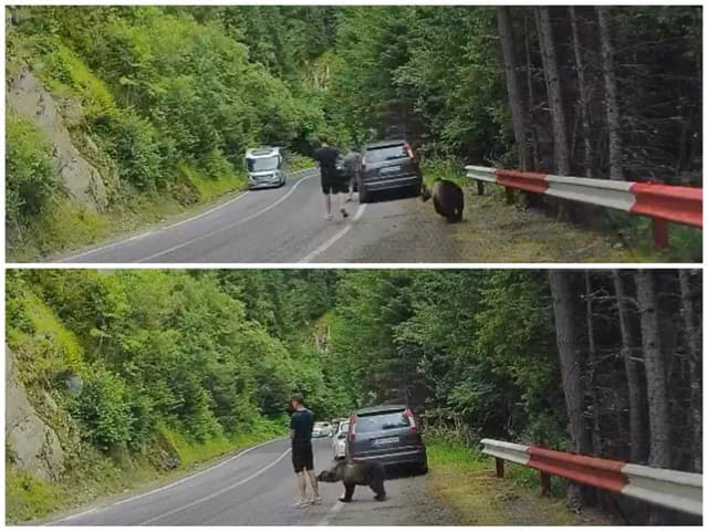 DRÁMA na horskej ceste: