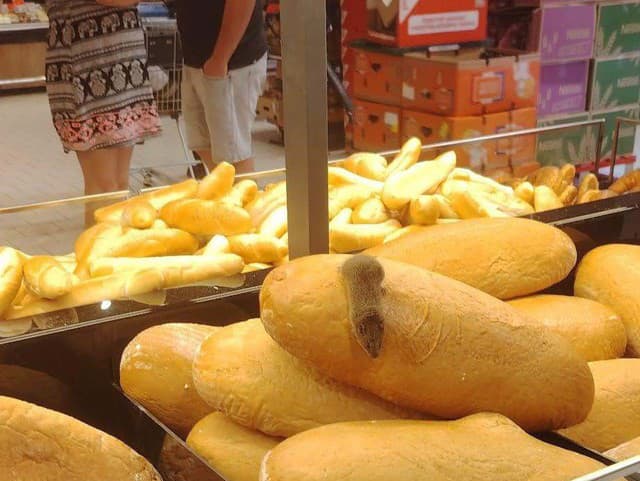FOTO Po pečive v známej sieti predajní pobehovala myš! Zhrození zákazníci, reťazec reaguje
