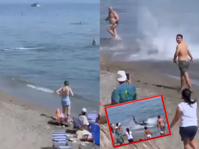 Panika na španielskej pláži: Za plavcom sa zrazu objavila príšera a začala ho prenasledovať, VIDEO desivého incidentu