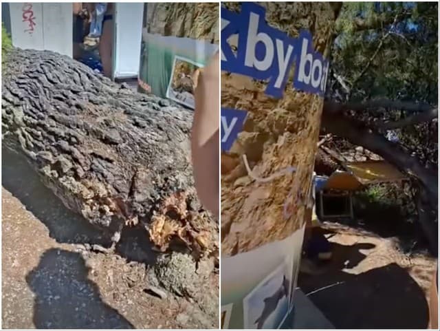 Dráma na chorvátskej pláži: