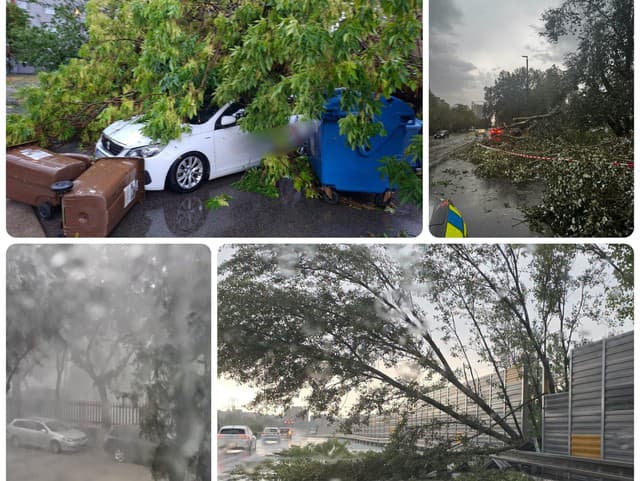 MIMORIADNE Slovensko zastihla TOTÁLNA SMRŠŤ! Vietor a dážď berú všetko, čo majú v ceste: FOTO Zaplavené ulice, polámané stromy