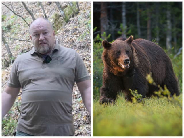 Huliak po útoku medveďa