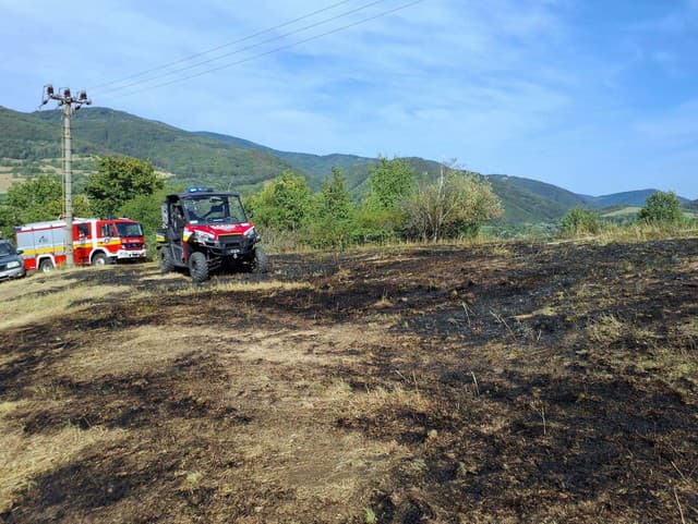 Hasiči likvidovali požiar trávnatého