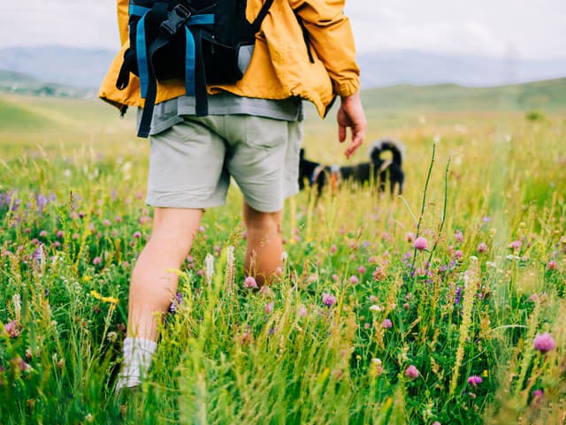 Prosba skončila BITKOU! V Malej Fatre mal muž napadnúť českého turistu po konflikte so psom